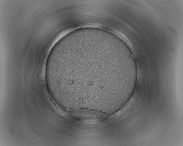 X0000112911044200909141247