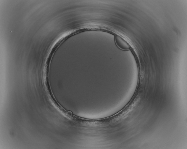 X0000112911045200909141247