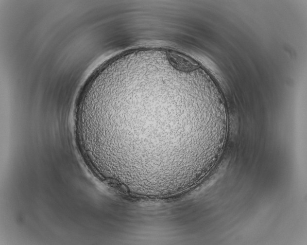 X0000112911046200909141247