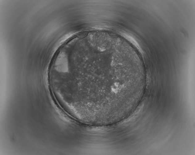 X0000112911047200909141247