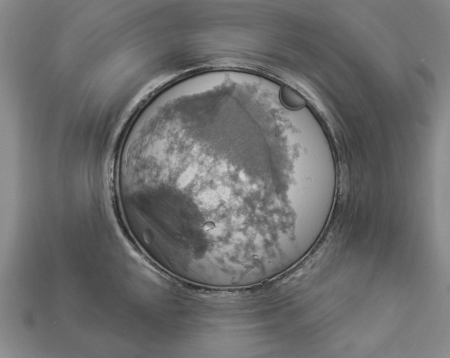 X0000112911048200909141247