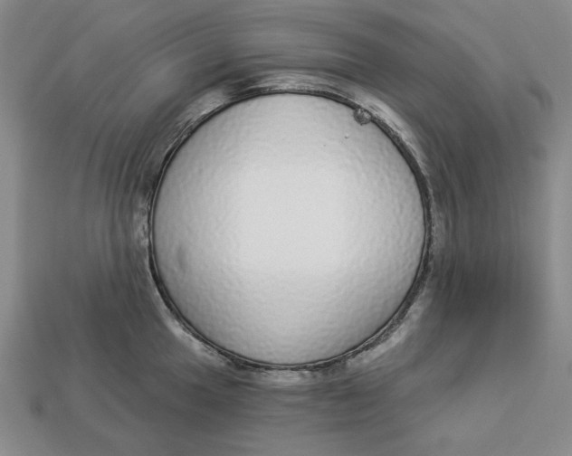 X0000112911049200909141247