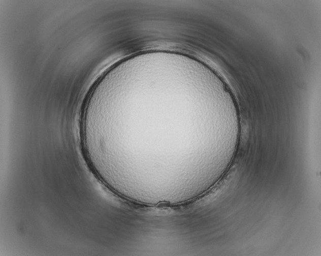 X0000112911050200909141247