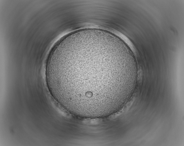 X0000112911051200909141247