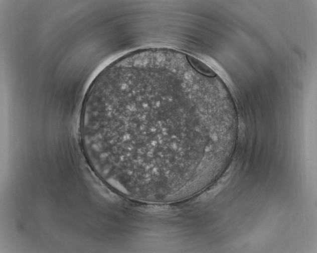 X0000112911052200909141247