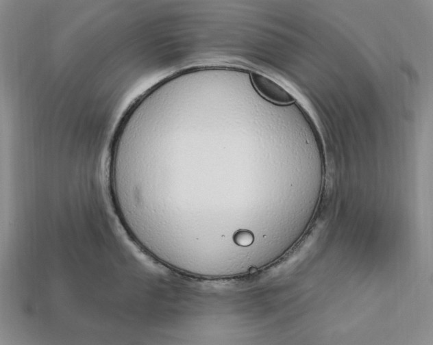 X0000112911053200909141247