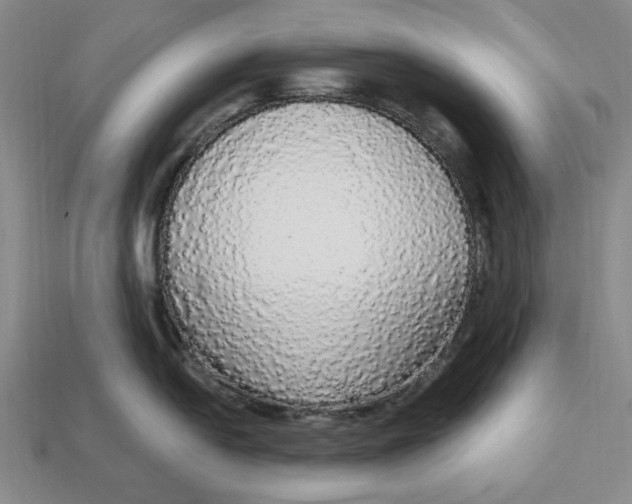 X0000112911054200909141247