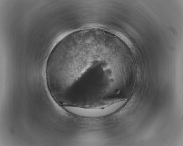 X0000112911055200909141247