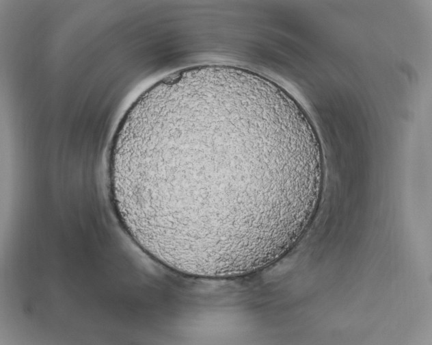 X0000112911056200909141247