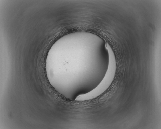 X0000112911057200909141246