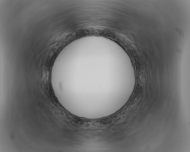 X0000112911061200909141246