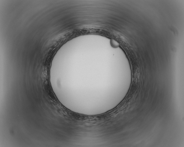 X0000112911062200909141246