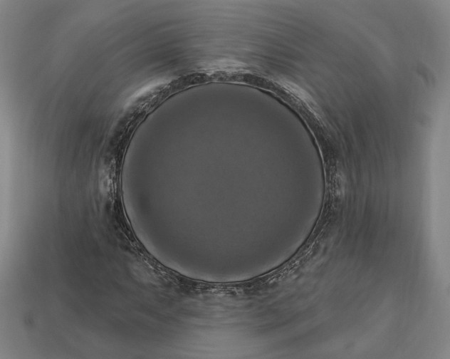 X0000112911063200909141246