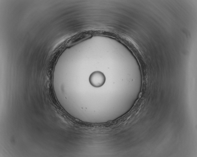 X0000112911064200909141246