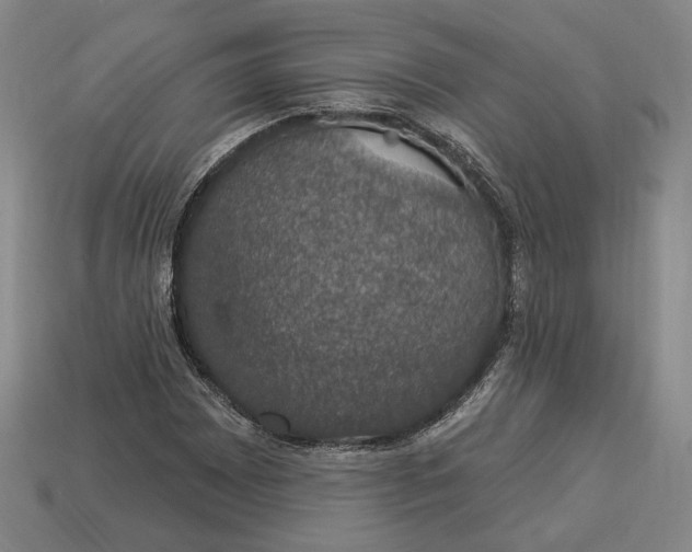 X0000112911065200909141246