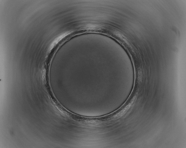 X0000112911066200909141246