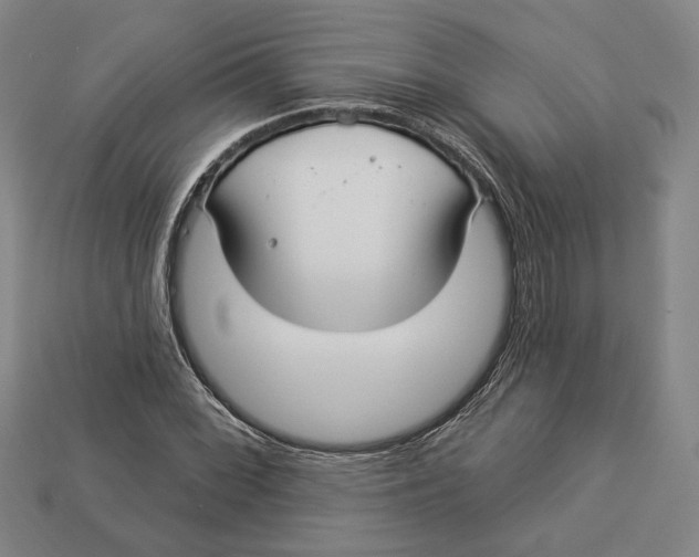 X0000112911068200909141246