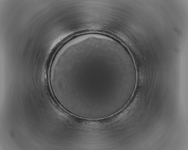 X0000112911070200909141246