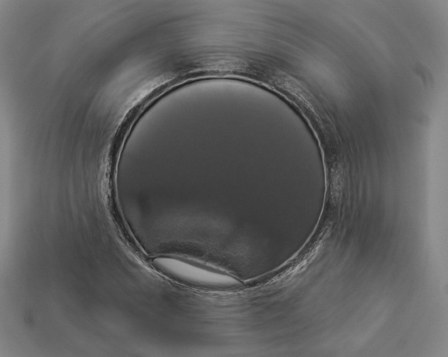 X0000112911071200909141246