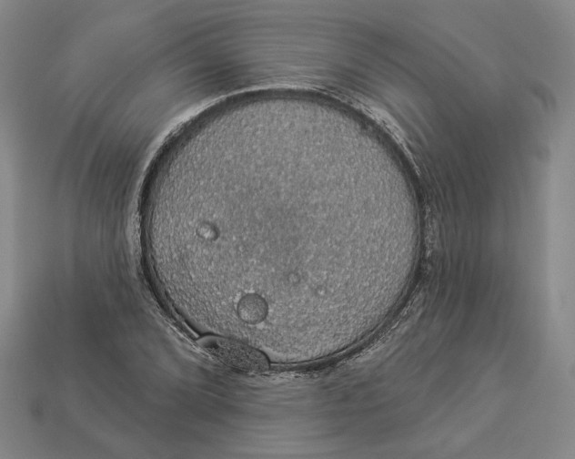 X0000112911072200909141246