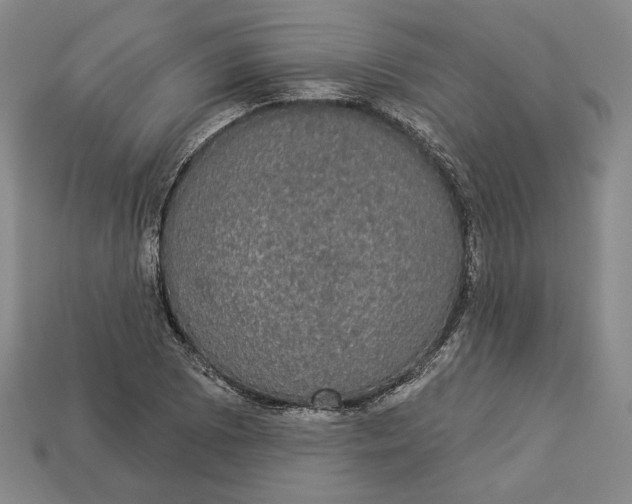 X0000112911073200909141246