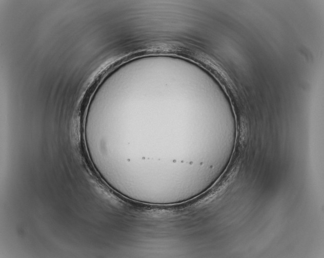 X0000112911075200909141246