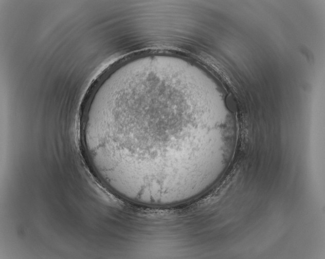 X0000112911076200909141246