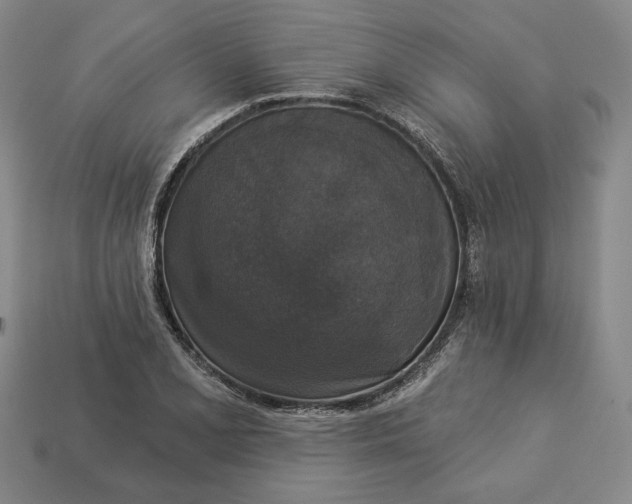 X0000112911077200909141246