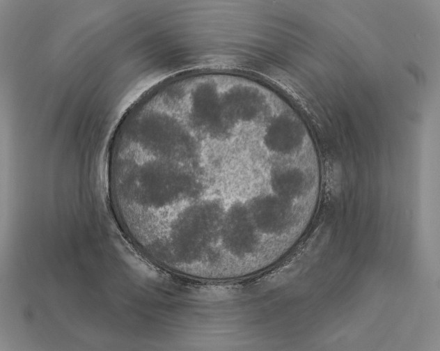 X0000112911078200909141246