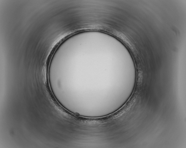 X0000112911079200909141246