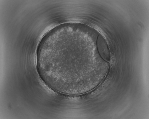 X0000112911080200909141246