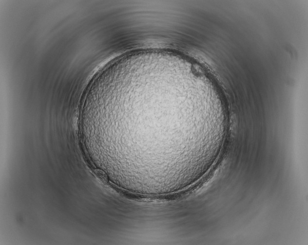 X0000112911081200909141246