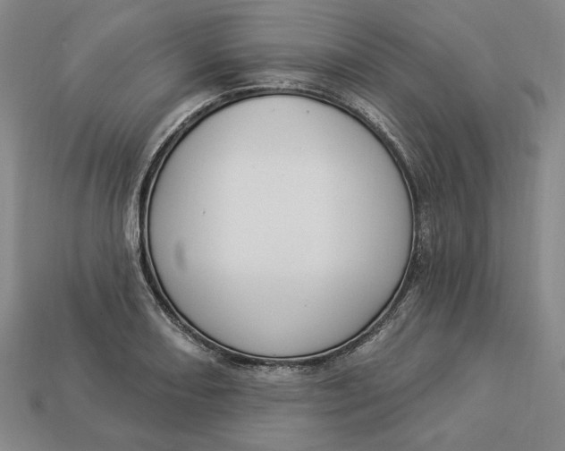 X0000112911082200909141246