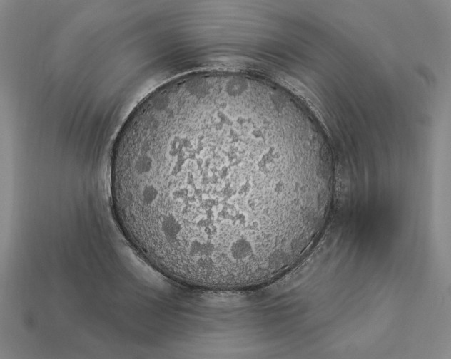 X0000112911083200909141246