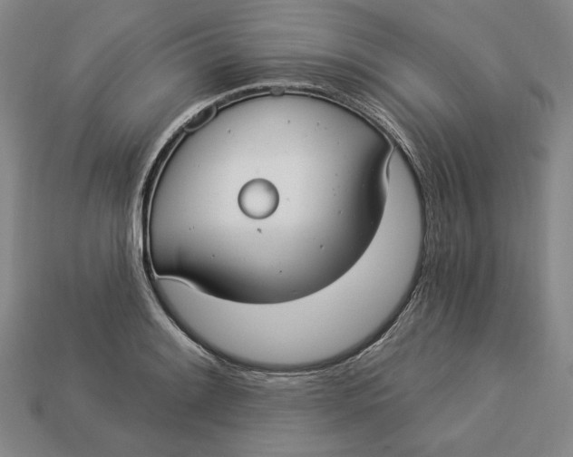 X0000112911084200909141246