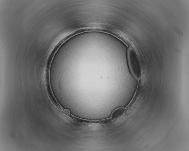 X0000112911085200909141246