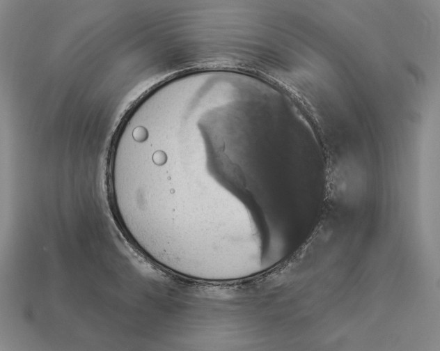 X0000112911086200909141246