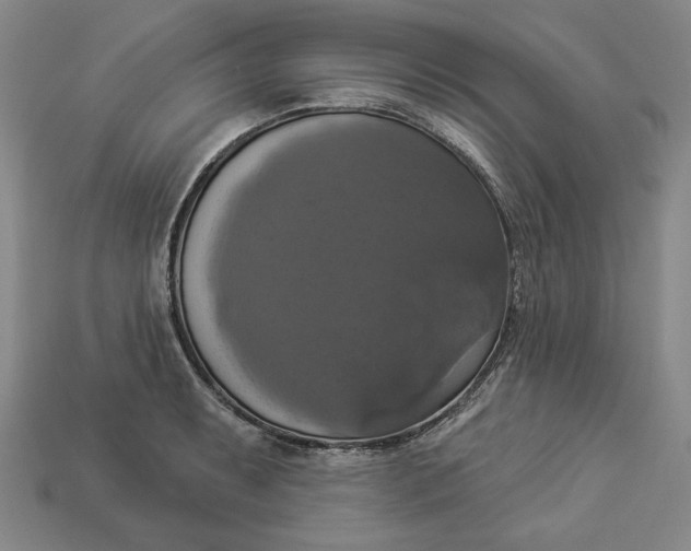 X0000112911087200909141246