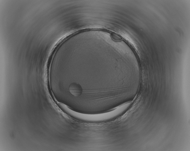 X0000112911088200909141246