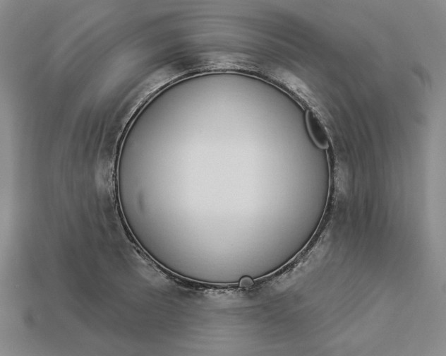 X0000112911089200909141246