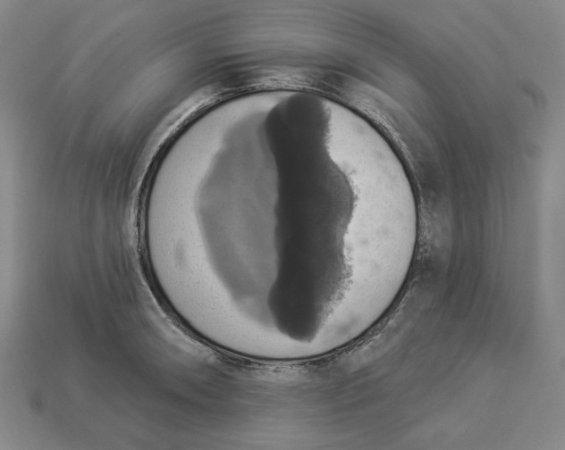 X0000112911090200909141246