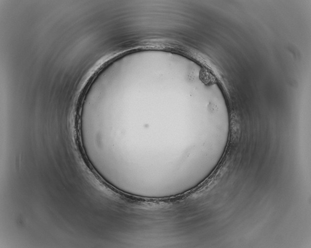 X0000112911091200909141246