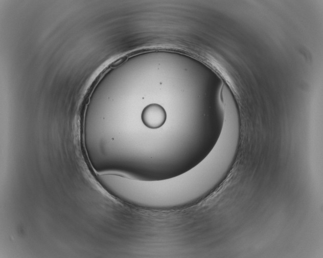 X0000112911092200909141246