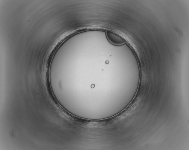 X0000112911093200909141246