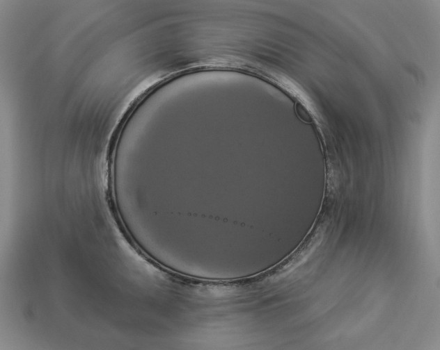 X0000112911095200909141246