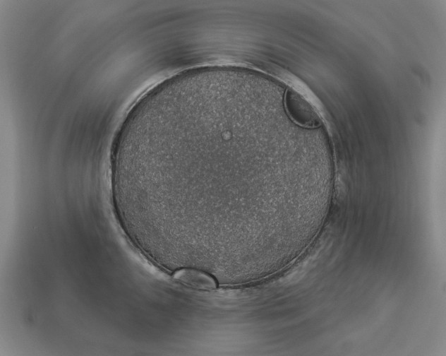 X0000112911096200909141246