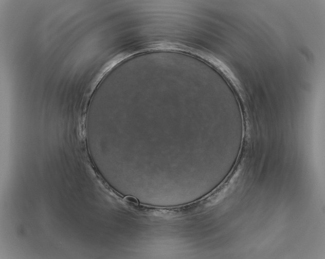 X0000112911097200909141246