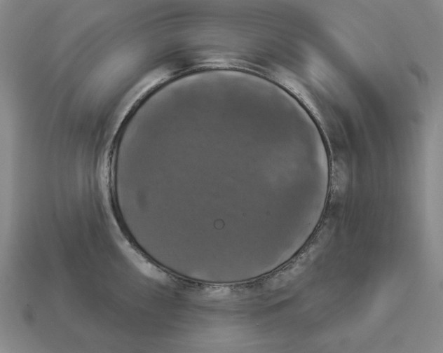 X0000112911098200909141246