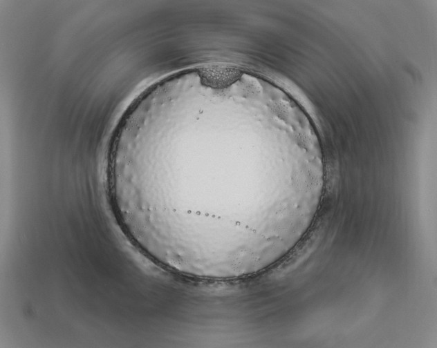 X0000112911099200909141246