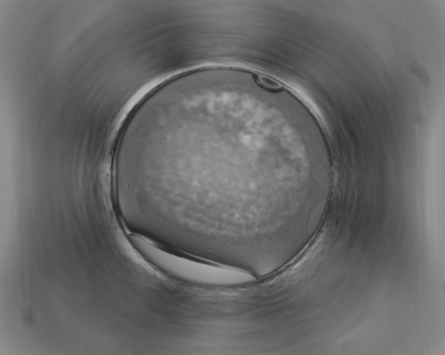 X0000112911100200909141246